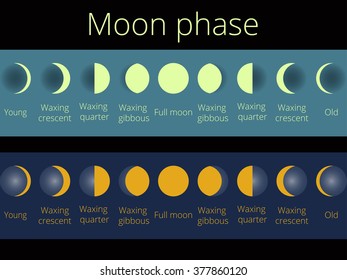 The phases of the moon. The whole cycle from new moon to full. Vector illustration.