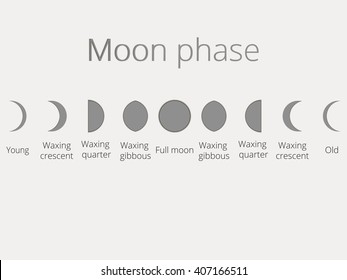 The phases of the moon. The whole cycle from new moon to full. Vector illustration.