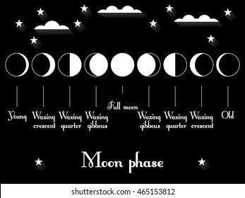 The phases of the moon. The whole cycle from new moon to full. Vector illustration.