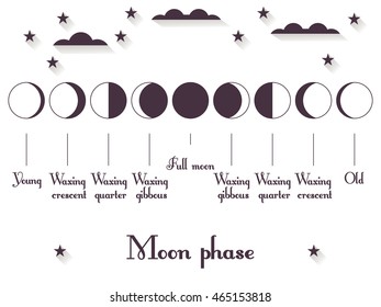 The phases of the moon. The whole cycle from new moon to full. Vector illustration.