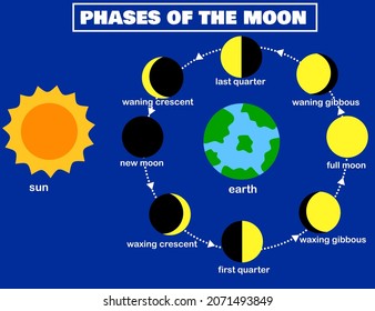 Phases of the moon.Lunar phase.Earth and sun.Luna The lunar cycle change.Night sky.Infographic.Eclipse concept.Planets in solar system.Cartoon vector illustration.