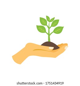 Phases plant growing. Planting tree infographic. Evolution concept. Sprout, plant, tree growing agriculture icons. Vector illustration in flat style