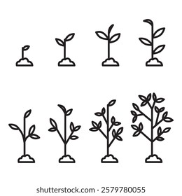 Phases plant growing. Planting tree infographic. Line art icons. Vector illustration in flat style.