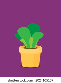 Phases plant growing. Vector illustration in flat style