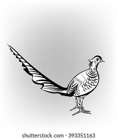 Pheasant,
Pheasant,   All elements are in separate layers color can be changed easily 