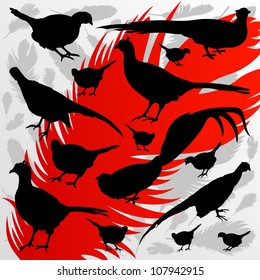 Pheasant bird detailed hunting season silhouettes illustration collection background vector