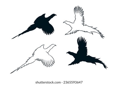 Pheasant bird flying line drawing and silhouette collection. Vector icon logo illustration