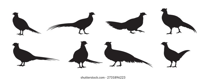 Fondo blanco de la silueta del pájaro del faisán