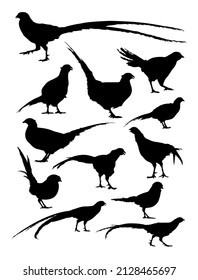 Pheasant bird silhouettes. Good use for any design you want.