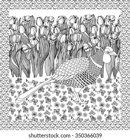 Pheasant bird with tulips, vector design for adult  coloring  book