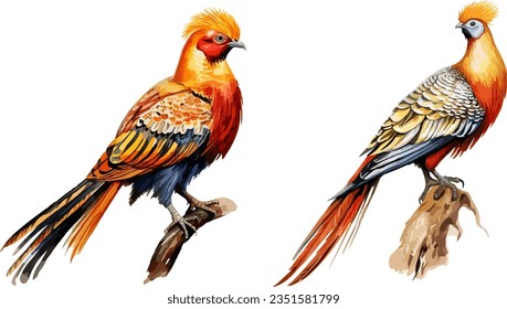 Pheasant  clipart, isolated vector illustration. svg