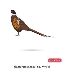 Pheasant color flat icon for web and mobile design