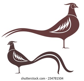 Pheasant logo. Isolated pheasant on white background