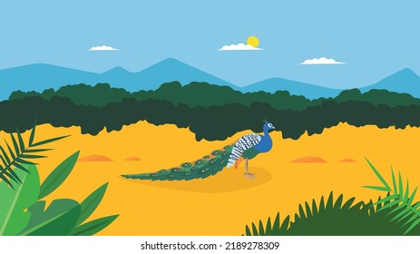 faisán sobre el fondo de la naturaleza