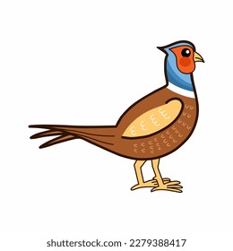 Pheasant on white background. Illustration with bird. Doodle style drawing.