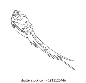 ilustración de vector de línea de faisán