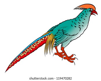 pheasant painting chinese style on white background