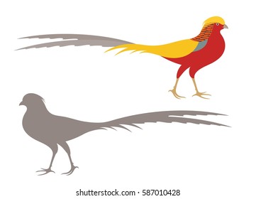 Pheasant set. Abstract pheasant on white background. EPS 10. Vector illustration