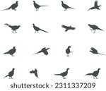 Pheasant silhouette, Flying pheasant silhouette, Pheasant SVG, Pheasant silhouette clip art.