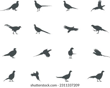 Pheasant silhouette, Flying pheasant silhouette, Pheasant SVG, Pheasant silhouette clip art. svg