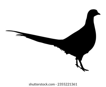 Pheasant silhouette vector art white background
