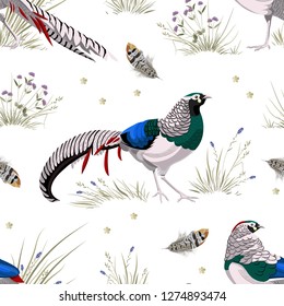 Faisán Antiguas Patrón sin fisuras. Antecedentes de Antiguas. Fondo de pantalla de aves exóticas. Diseño de impresión de lujo. Fondo sin fisuras de Vector floral. Fondo de pantalla botánico.