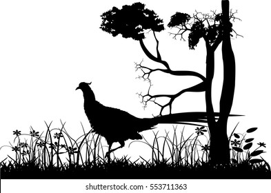 Pheasants and grass vector silhouettes
