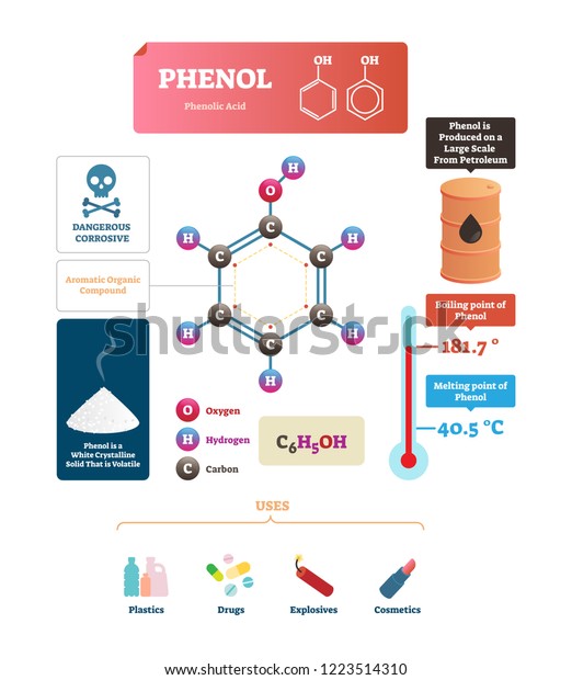Phenol Vector Illustration Labeled Molecular Acid Stock Vector (Royalty