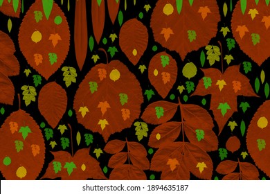 The phenomenon is commonly called autumn colours or autumn foliage in British English and fall colors, fall foliage, or simply foliage in American English