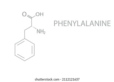 Phenylalanine Amino Acid Molecule. Skeletal Formula. (L-phenylalanine, Phe, F) .