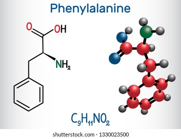 Phenylalanine (L-phenylalanine, Phe , F) amino acid molecule.  Structural chemical formula and molecule model. Vector illustration 