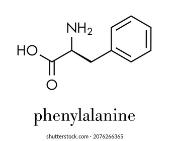 Phenylalanine (l-phenylalanine, Phe, F) amino acid molecule. Skeletal formula.