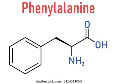 Phenylalanine Or L-phenylalanine, Phe, F Amino Acid Molecule. Skeletal Formula.