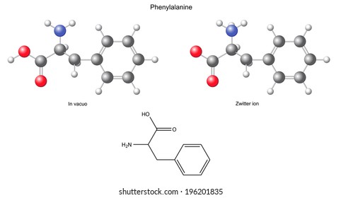 Phenylalanine (Phe) - chemical structural formula and models, amino acid, in vacuo, zwitterion, 2D and 3D illustration, balls and sticks, isolated on white background, vector, eps8