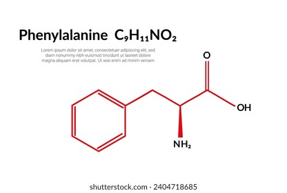 Phenylalanine (symbol Phe or F) C9H11NO2 amino acid, molecular structural chemical formula, suitable for education or chemistry science content. Vector illustration