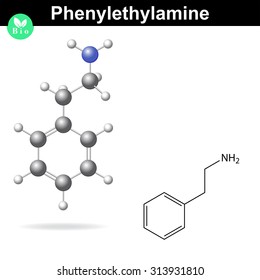 Phenylethylamine molecule, chemical formula of neuromediator, 2d vector, eps 8