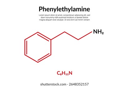 Feniletilamina, composto orgânico, fórmula de estrutura molecular, adequado para conteúdo de educação ou ciência química. Ilustração vetorial