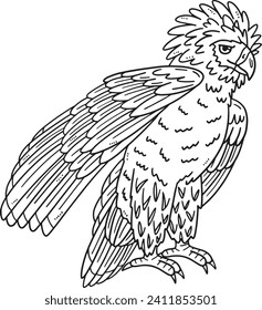 Página de Colores Aislados de Águila Filipina para Niños
