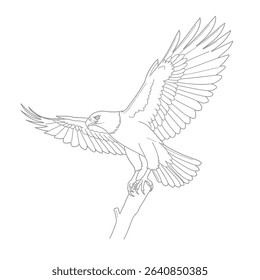 Philippine Eagle-Pithecophaga jefferyi. Majestic eagle illustration landing on branch with fully extended wings. Bird of prey concept
