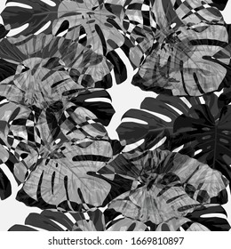 Philippine Flowers. Seamless Pattern with Bright Tropical Flowers and Leaves. Vintage Seamless Texture for, Curtain, Cloth, Paper. Vector Seamless Pattern with Philippine Flowers