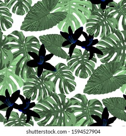 Philippine Flowers. Seamless Pattern with Tropic Leaves and Flowers.