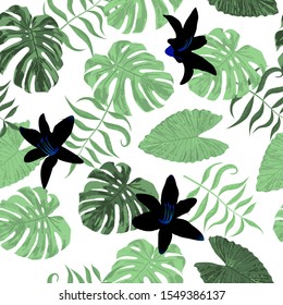 Philippine Flowers. Vintage Background for Wallpaper, Shirt, Dress. Seamless Tropical Pattern with Australian Jungle. Big Texture. Vector Seamless Pattern with Philippine Flowers