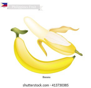 Philippine Fruit, Illustration of Banana. One of The Most Popular Fruits in Philippines.