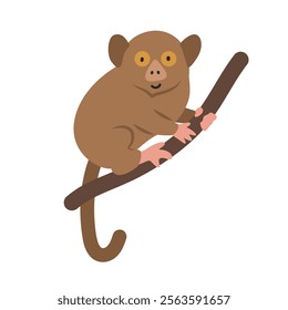 Philippine tarsier cartoon clipart. Prosimian tarsier vector illustration in flat style. Hand-drawn wild animal concept