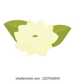 Vector de dibujos animados de íconos florales de Filipinas. Viaje cultural. Punto de referencia del pueblo