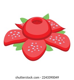 Philippines red flower icon isometric vector. Summer culture. Field food