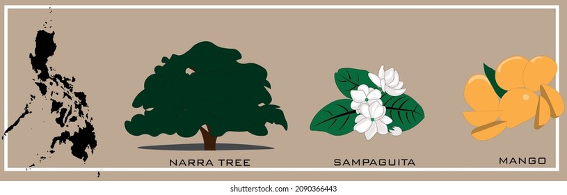 Philippines Three National Symbol, Narra, Sampaguita, and Mango