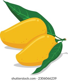 Phillippine super sweet mangoes vector illustration