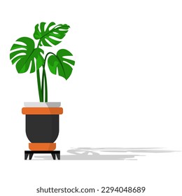 Philodendron giganteum plant in pot on white background, Cute houseplant leaves to purify air, vector illustration
