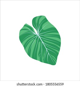 Philodendron green leaf. Exotic tropical jungle plant. Summer party, holidays, wedding, cosmetics floral design flat vector illustration isolated on white background